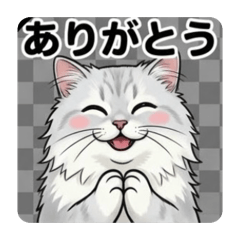 Chinchilla Persian (Silver)