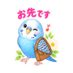 momo_20260825221913