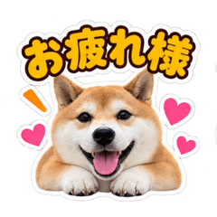 KINAKO_20260825222112