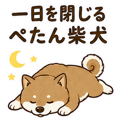 Flat Shiba Calls It a Day-jp