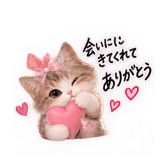 harubonsan_20260825223124