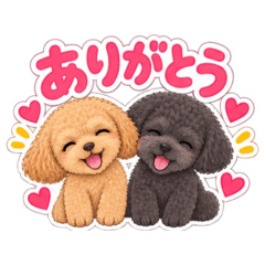 seta_20260825222827