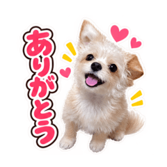 Tomoya_20260825223206