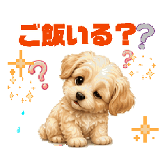kon_20260825225455