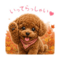 koko_20260825225253