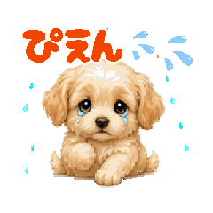 kon_20260825225940