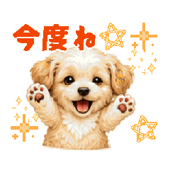 kon_20260825230105