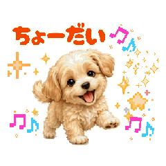 kon_20260825230316