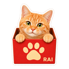 Rai in a Box