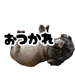 Anzukky_20260825231905