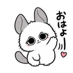 momo_20260825232312