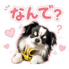 Kotone_20260825231859