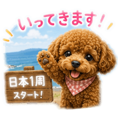 koko_20260825232346