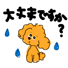 nabochan_20260825233337