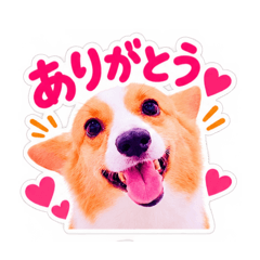 Anna-chan_20260825232804