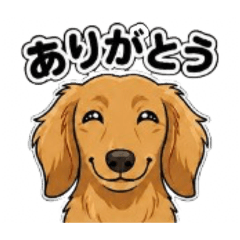 HAPPY_dachshundLIFE