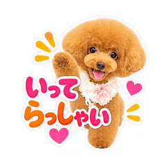 LUEUR_20260825233523