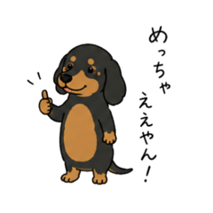 shamo_20260825234013