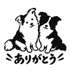 TOMY_20260825235101