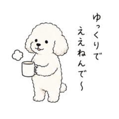 shamo_20260825234504