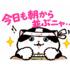 modoki_20260826003041