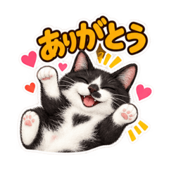 Shin_20260826011138