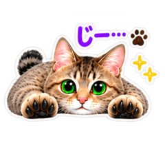 Mimi_20260826001140