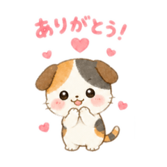 yuzuaya_20260826015314