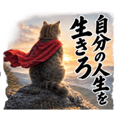 chika_20260826031052