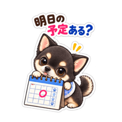 YUMI_20260826035820