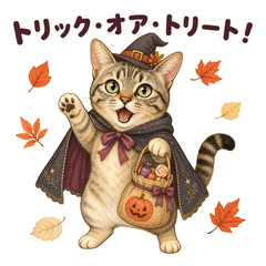 A Cat Who Can't Wait for Halloween
