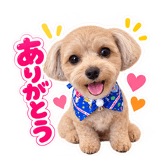 yuki_20260826065146
