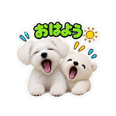 aoi_20260826070132
