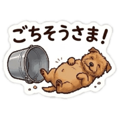 Teritama_20260826070813