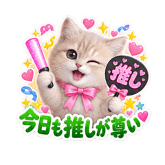 Macaron_20260826091207