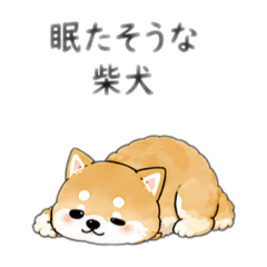 Sleepy Shiba Inu | 40 Everyday Stickers
