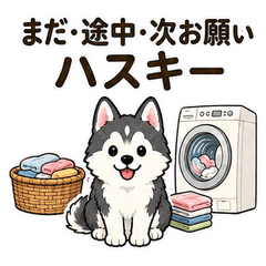 Still Working, Next Please Husky-jp