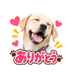 Haru_20260826093954