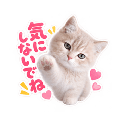 Milk the No Pressure Cat