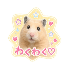 kinamaru_20260826101611