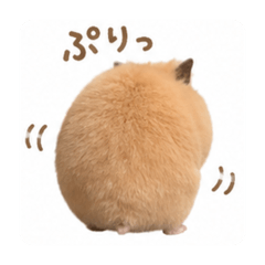 kinamaru_20260826105225