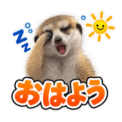 TOUKAIRIN_20260826112305