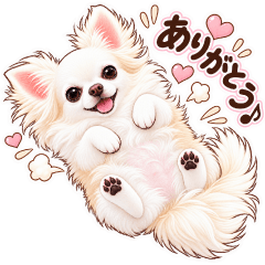 Chihuahua Daily Chats - Family - Friends