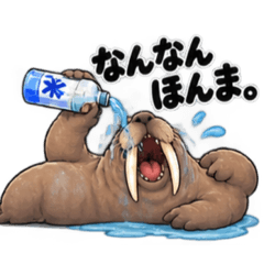 ponnkotu_20260824001348
