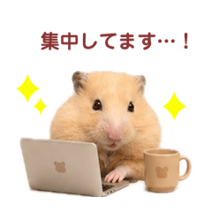kinamaru_20260826115500