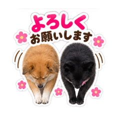 Nicky & Mei_20260826121031