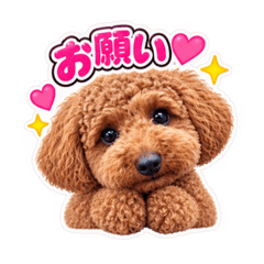 プードルのスタンプです♡