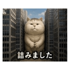 aksui_20260826121039