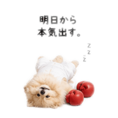 Pom_20260826144319