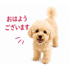 YUSEI2GOU_20260826121916